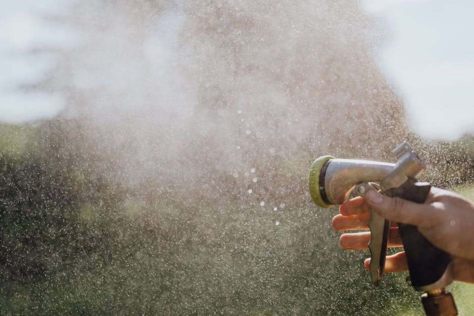 Everything You Need to Know About Comparing Misting Nozzles