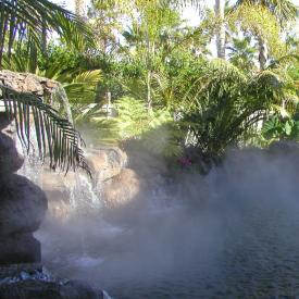 Commercial Fogging System