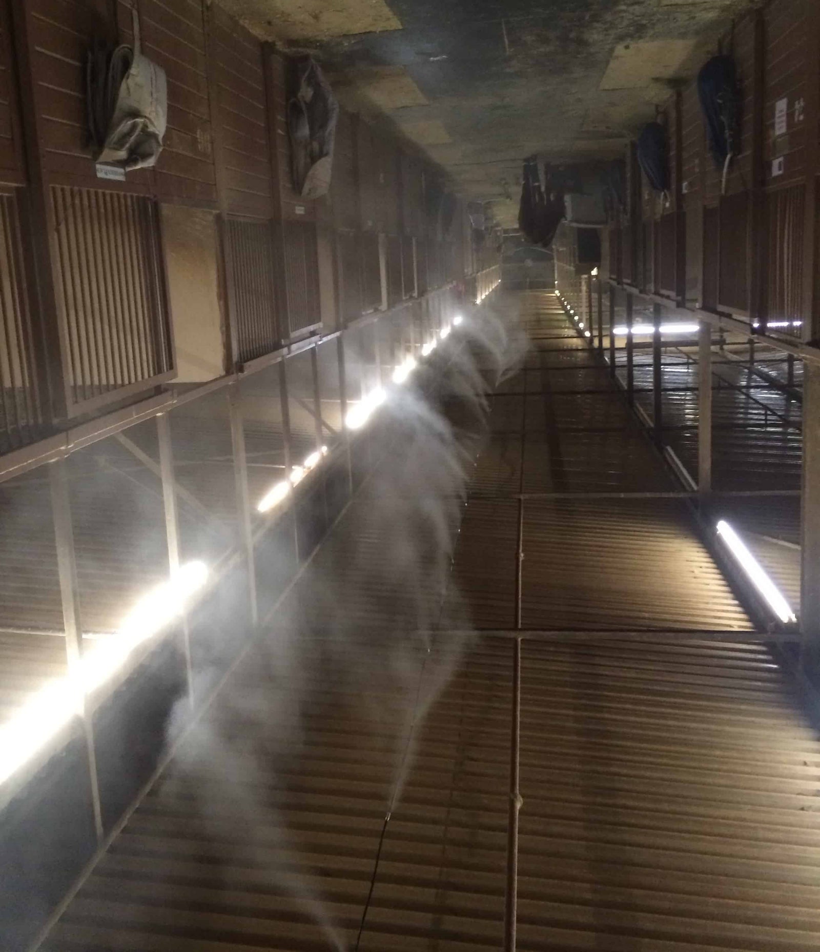 Horse stable with misting system in action