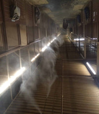 Horse stable with misting system in action