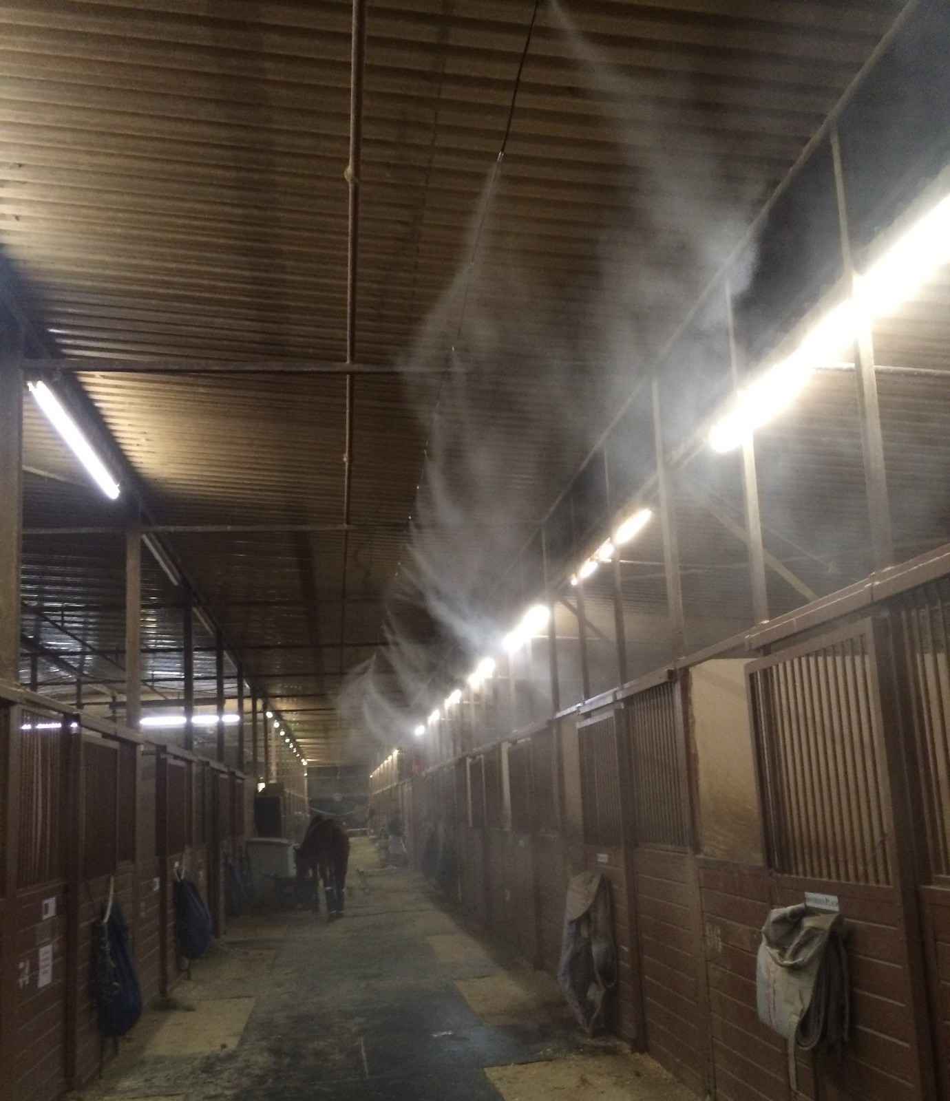 Horse stable with misting system in action